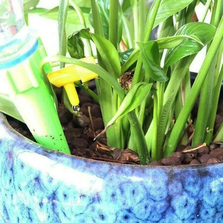 Kit 10 Peças Irrigadora De Planta Conta Gotas Regador Automático Gotejamento - Imagem 6