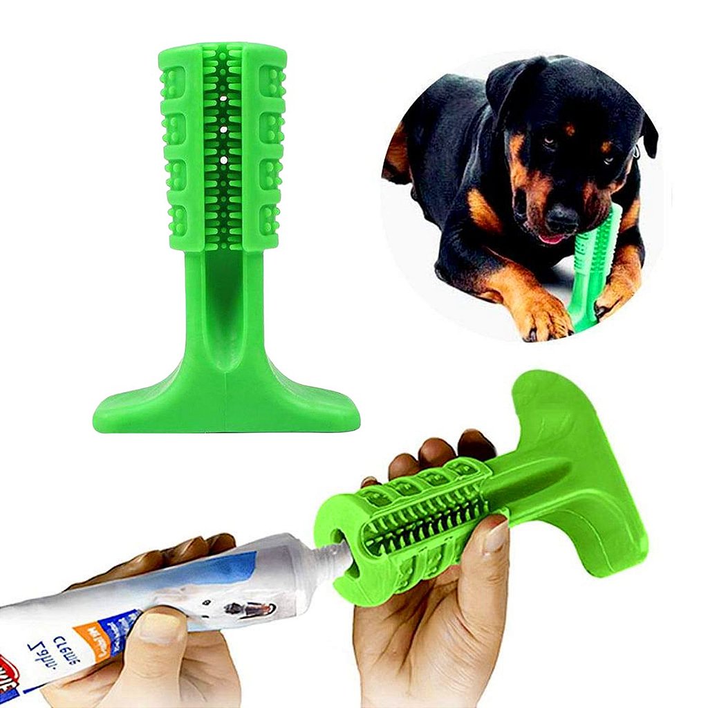 Brinquedo Mordedor Escova De Dente Para Cachorro Medio - Imagem 6